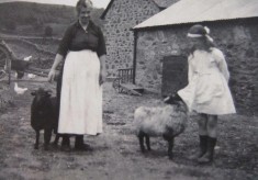 The Old Dairy