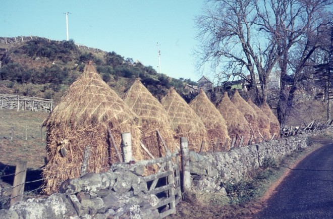 Haystacks at Tarvie 1967