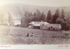 Balmyle