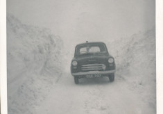 Snow (2)