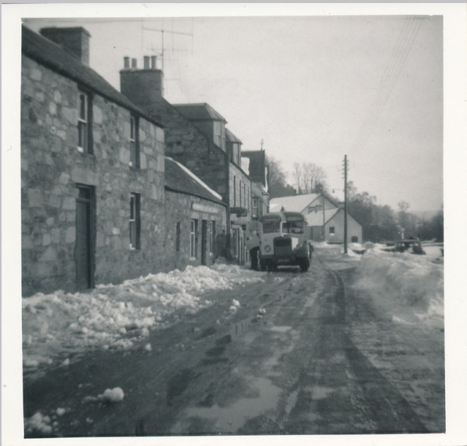Snow (5)