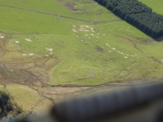 View from the Air (1)