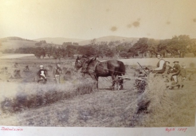 Haymaking at Dalrulzian
