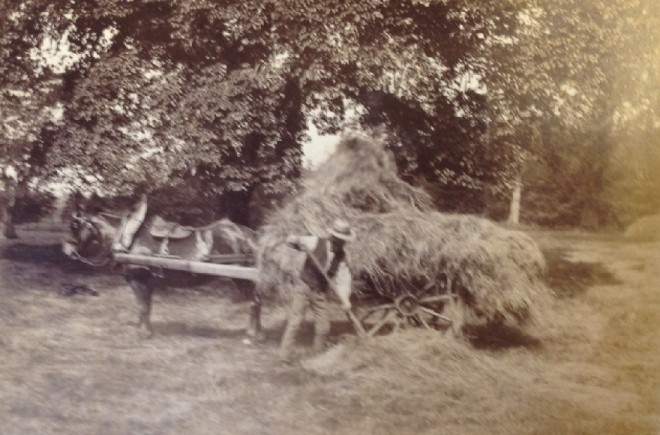 Haymaking