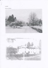 Scanned Picture