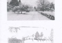 Scanned Picture