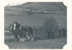 Ploughing Match