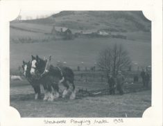 Ploughing Match