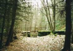 Graveyard