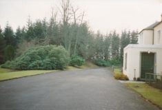 Driveway