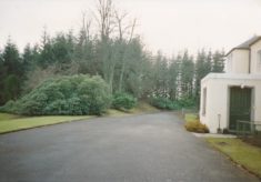 Driveway