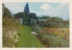 Garden (4)