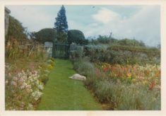 Garden (4)