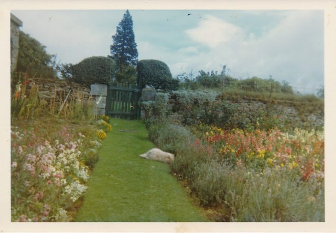 Garden (4)