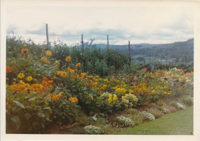 Garden (5)
