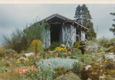 Garden (6)