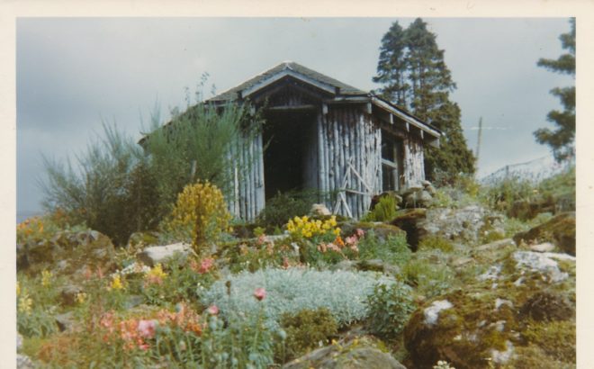 Garden (6)