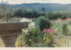 Garden (8)