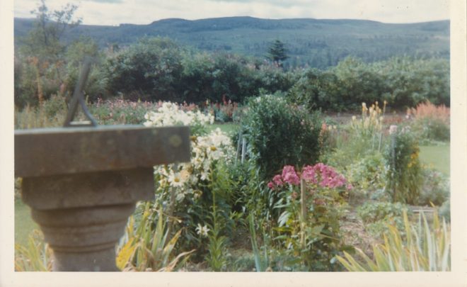 Garden (8)