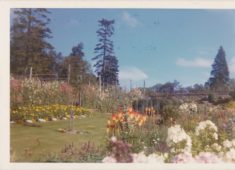 Garden (1)