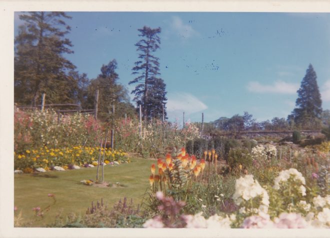 Garden (2)