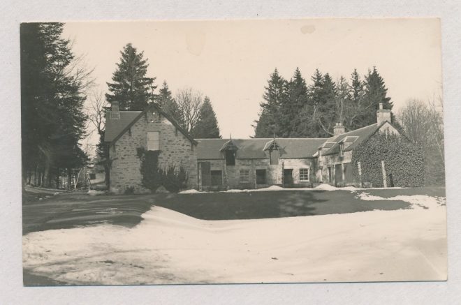 Dirnanean (1)