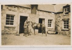Stables