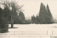 Grounds (2)
