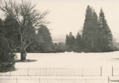 Grounds (2)