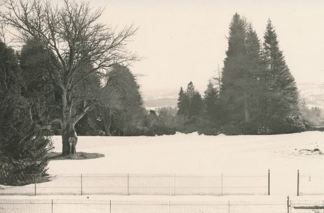 Grounds (2)