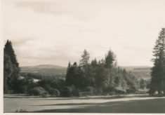 Grounds (3)