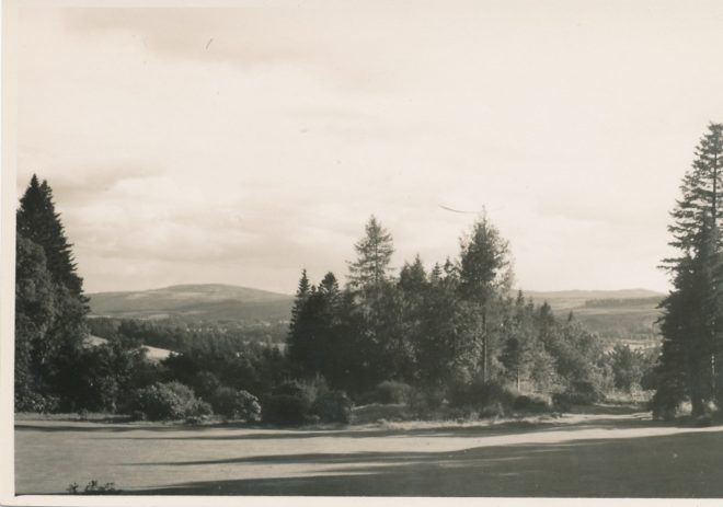 Grounds (3)