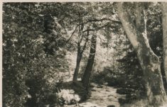 Gardens (1)
