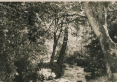 Gardens (1)