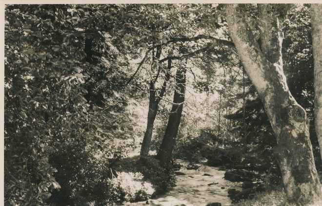Gardens (1)