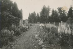 Gardens (2)
