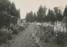 Gardens (2)