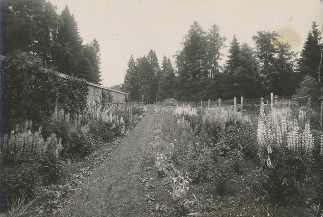 Gardens (2)