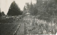 Gardens (3)