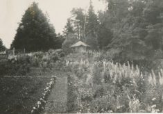 Gardens (3)