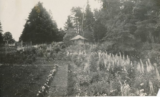 Gardens (3)