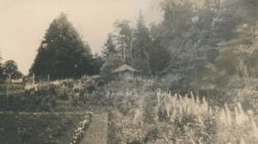 Gardens (4)