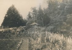 Gardens (4)