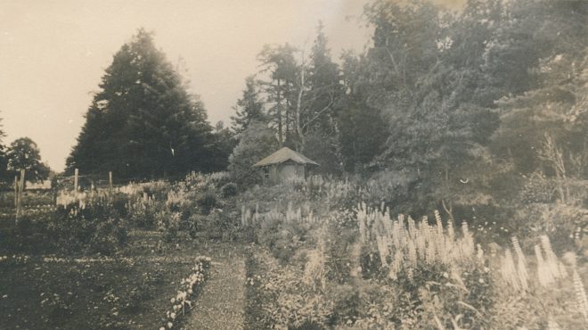 Gardens (4)