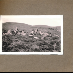 A picnic on the shoot August 1937 A picnic on the shoot August 1937