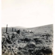 Walking on Dirnanean 1937 Walking on Dirnanean 1937