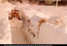 Transport and Roads